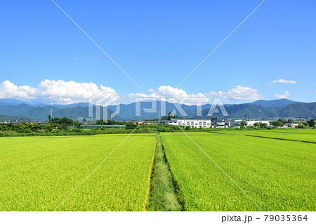 2020年夏、山形線の新庄駅から赤湯駅間の車窓風景と駅風景 79035364