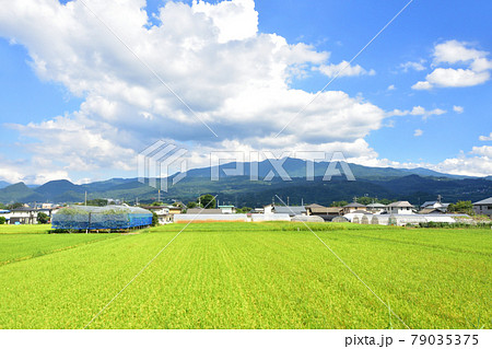 2020年夏、山形線の新庄駅から赤湯駅間の車窓風景と駅風景 2020年夏、山形線の新庄駅から赤湯駅間の車窓風景と駅風景 79035375