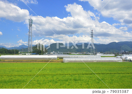2020年夏、山形線の新庄駅から赤湯駅間の車窓風景と駅風景 2020年夏、山形線の新庄駅から赤湯駅間の車窓風景と駅風景 79035387
