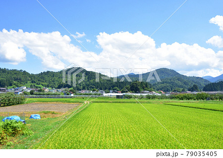 2020年夏、山形線の新庄駅から赤湯駅間の車窓風景と駅風景 79035405
