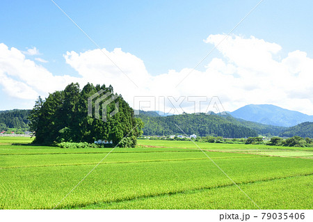 2020年夏、山形線の新庄駅から赤湯駅間の車窓風景と駅風景 79035406