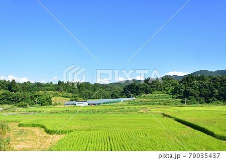 2020年夏、山形線の新庄駅から赤湯駅間の車窓風景と駅風景 79035437