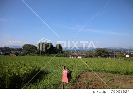 夏の田舎の風景 79035624