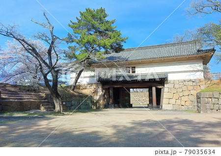 【香川県】桜咲く春の丸亀城（大手門） 79035634