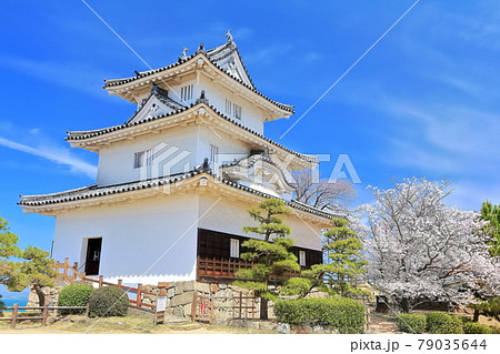 【香川県】桜咲く春の丸亀城(現存天守と石垣の名城) 【香川県】桜咲く春の丸亀城(現存天守と石垣の名城) 79035644