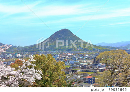 【香川県】桜咲く春の丸亀城より眺める丸亀市の町並みと飯野山（讃岐富士） 79035646
