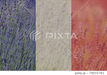 Bastille Day. National Day of France, a flag of France, background with copy space for text . happy 14th of July. 79035761