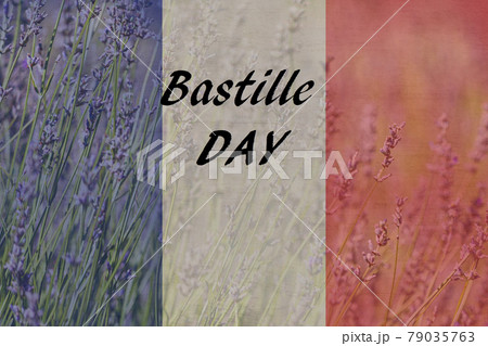 Bastille Day. National Day of France,written in French and a flag of France, 79035763