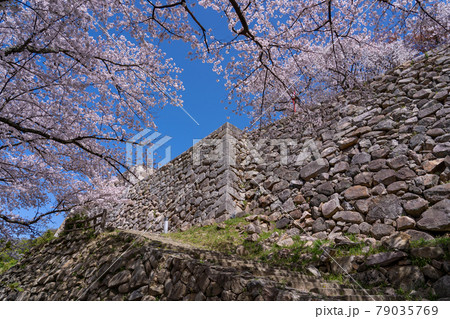 鳥取県鳥取市 春の鳥取城の石段と石垣 鳥取県鳥取市 春の鳥取城の石段と石垣 79035769