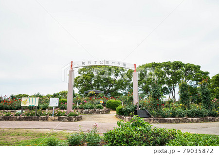 駕与丁公園のバラ園 駕与丁公園のバラ園 79035872