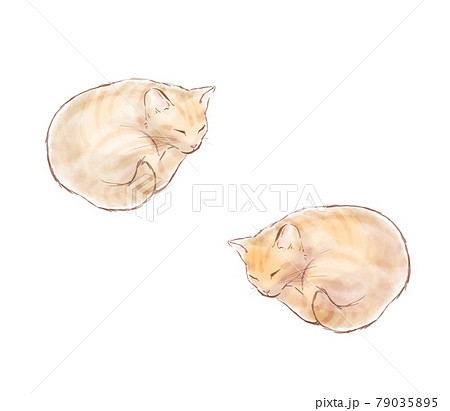 眠り猫のイラスト素材