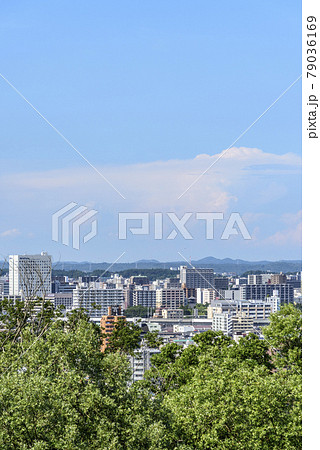大年寺山より仙台市内を展望する 大年寺山より仙台市内を展望する 79036169