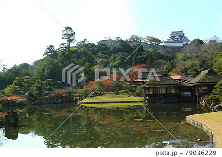 玄宮園から見た彦根城 玄宮園から見た彦根城 79036229