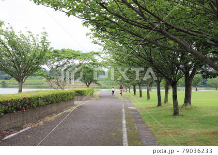 北潟湖 ハミングロード（福井県 あわら市） 79036233