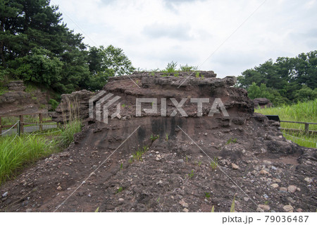 夏 干拓地 スポット 79036487