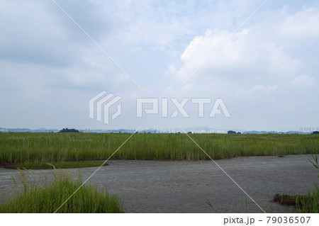 風景 干拓地 スポット 79036507