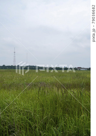 空 夏 干拓地 79036682