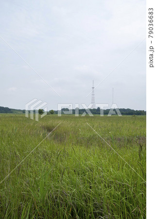 華城市 空 夏 79036683