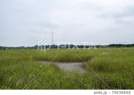 空 夏 干拓地 79036688