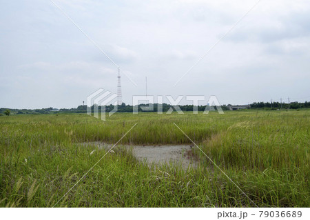 空 夏 干拓地 79036689