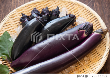 ナスの種類01 ナスの種類01 79036805