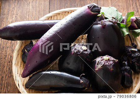 茄子の種類02 79036806