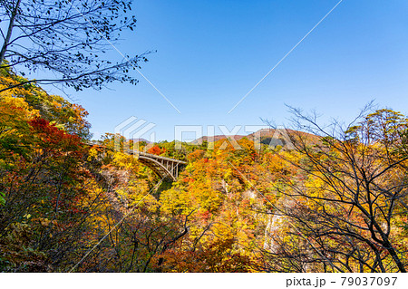 【宮城県】紅葉の鳴子峡 【宮城県】紅葉の鳴子峡 79037097