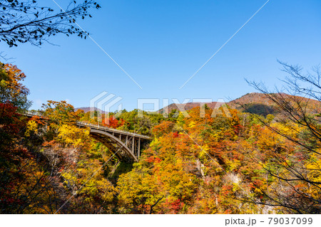【宮城県】紅葉の鳴子峡 【宮城県】紅葉の鳴子峡 79037099