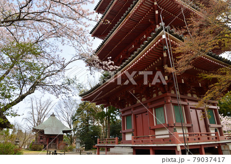 法鷲院（ほうじゅいん）に寄りました　＃24 79037417