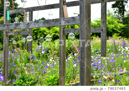香勝寺　ききょう園 79037465