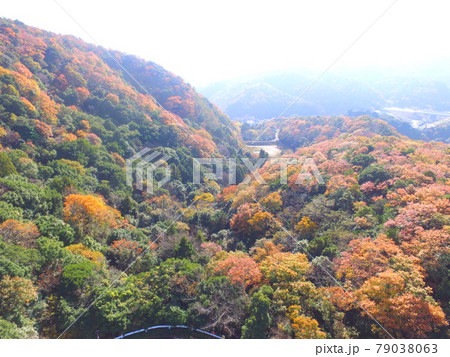 紅葉の山〜ドローンで空撮(徳島県板野町) 紅葉の山〜ドローンで空撮(徳島県板野町) 79038063