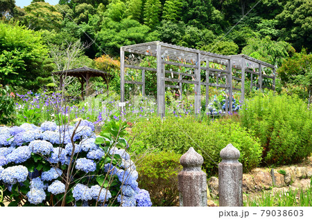 香勝寺　ききょう園 79038603