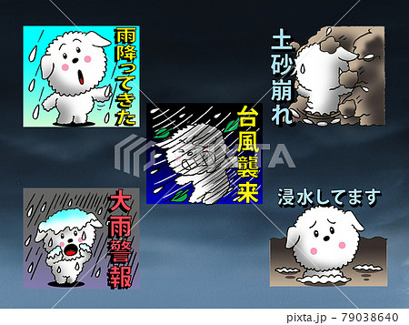 台風のワンちゃん 79038640