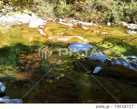 愛媛県久万高原町の面河渓と紅葉の写真素材