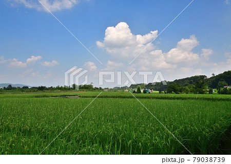 夏空 夏空 79038739