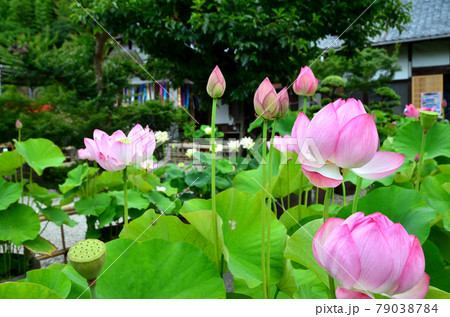 香勝寺　参道　 79038784