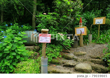 あきる野市　南沢あじさい山 79039665