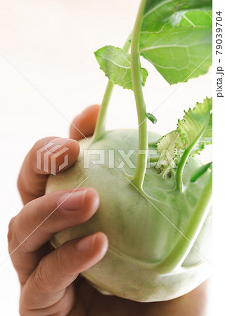Close up of fresh kohlrabi holding by hand, Organic vegetables 79039704