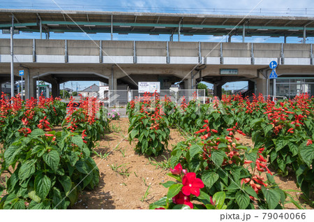 鹿島線　延方駅 79040066