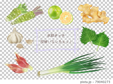 水彩タッチ　薬味野菜いろいろセット 79040273