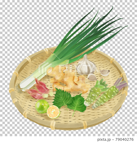 水彩タッチ 竹ザルに入った薬味野菜いろいろ 水彩タッチ 竹ザルに入った薬味野菜いろいろ 79040276