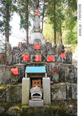 あきる野市 大悲願寺 あきる野市 大悲願寺 79040396