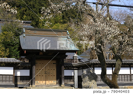 あきる野市　大悲願寺 79040403