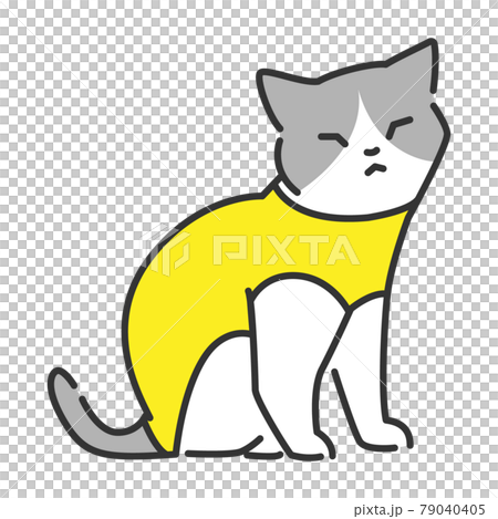 Cats who have undergone neutering and are dressed after surgery Cats who have undergone neutering and are dressed after surgery 79040405