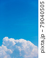 夏雲 79040505
