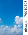 夏雲 79040506