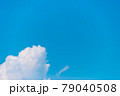 夏雲 79040508