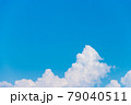 夏雲 79040511