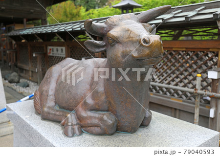 湯島天満宮の撫で牛 湯島天満宮の撫で牛 79040593