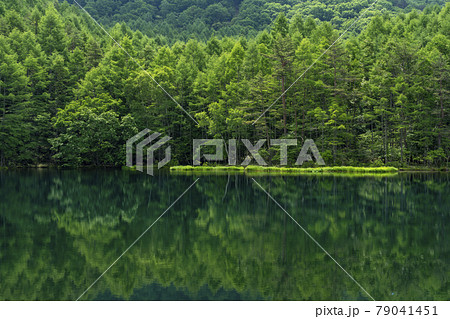 長野県茅野市 緑深い初夏の御射鹿池の写真素材 [79041451] - PIXTA